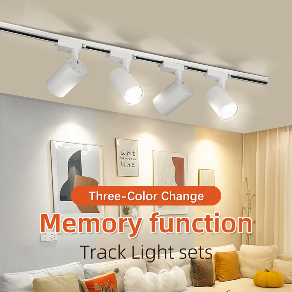 بقعة Led COB LED أضواء المسارا - مراجعة Lighting Decor Store وسعره